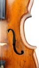 Very Old And Interesting Antique 18th Century Violin - Finolli,  1756 - String photo 8