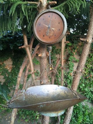 Vintage Rustic Antique Chatillon Hanging Scale And Pan C.  1920 ' S photo