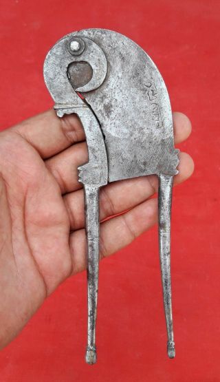 1800 ' S Antique Iron Hand Crafted Parrot Shape Engraved Betel Nut Cutter / Sarota photo
