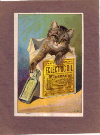 Kitten W Bottle Of Thomas ' Eclectric Oil Quack Medicine Adv Trade Card C1880s photo