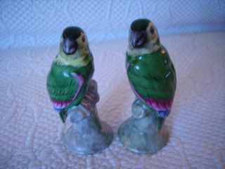 Vintage Lovebird Parrot Bird Pair Royal Porcelain Figurines Kpm Bavaria Germany photo