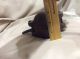Antique Old Cast Iron Merchants 6,  Lbs.  Scale Weight,  Gate Weight,  Leg Weight??? Scales photo 6