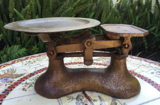 Vintage Counter - Top Cast Iron Scale & Pan Subdued Gold - Colored C.  Early 1900 ' S photo