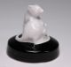 Rare Fraureuth Porcelain Rat Mouse Porcelain Animal Figurine Figurines photo 3