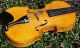 Fine Czech Antique Violin,  Amati Model.  Build & Tone String photo 4