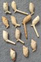 Mid 18th Century.  12 X Clay Armorial Clay Tobacco Pipes.  Dating To 1740 - 1760. British photo 1