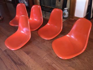 5 Herman Miller Eames Fiberglass Shell Chairs Mcm Orange - Repair 1970s photo