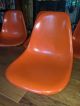 5 Herman Miller Eames Fiberglass Shell Chairs Mcm Orange - Repair 1970s Mid-Century Modernism photo 1