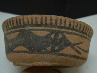 Ancient Teracotta Painted Pot With Serpent Indus Valley 2500 Bc Pt15300 photo