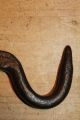 Antique Wrought Iron Hook Gambrel Meat/butchers/bacon/hanging Hook Hand Forged Hooks & Brackets photo 5