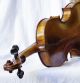 Antique Violin Labelled Alois Leja Wien 1815 String photo 4