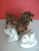 Rosenthal Porcelain Dog Figurine Cavalier King Charles Spaniel By Diller Perfect Figurines photo 1