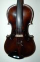 Fine Antique German 4/4 Master Violin With Lionhead - Stainer Model - 1900 String photo 1
