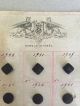 French Antique Victorian Marque Deposee Glass Button Card Salesman Sample Buttons photo 2