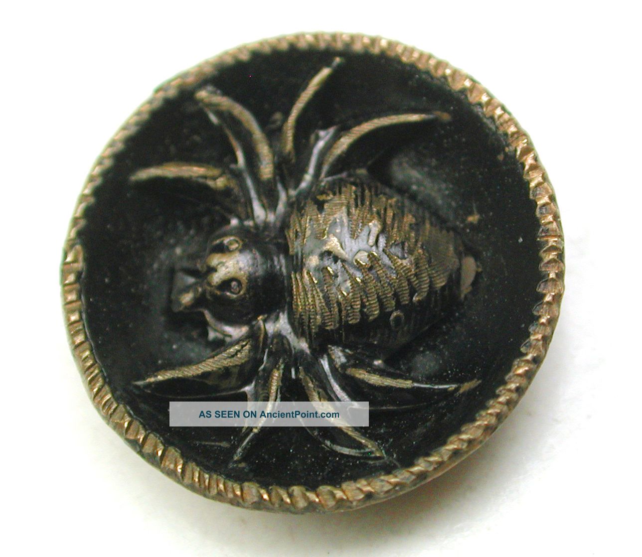 Antique Brass Cup Button W/ Spider Inside - 9/16 