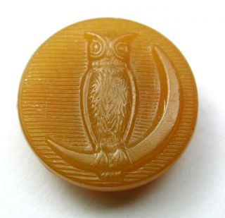 Antique Honey Horn Button Owl Perched On A Crescent Moon - 9/16 