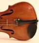 Old Fine Violin E.  Celani 1887 Geige Violon Violino Violine Viola ヴァイオリン 小提琴 String photo 3