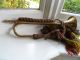 Vintage Army Brass Bugle? With Military Cord Brass photo 2
