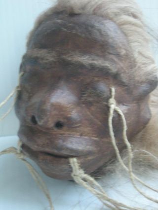 Museum Quality Looks Real Shrunken Head Tsantsa Jivaro Oddity Sideshow Taxidermy photo