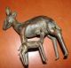 Goldweight Africa Akan Benin Ivory Coast Bronze Animal Gazelle Gazella Antelope Sculptures & Statues photo 9