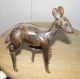 Goldweight Africa Akan Benin Ivory Coast Bronze Animal Gazelle Gazella Antelope Sculptures & Statues photo 1