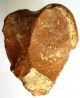Classical Small Acheulean Flint Nosed Hand Axe Neanderthal Tool Paleolithic Neolithic & Paleolithic photo 1