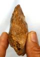 Classical Small Acheulean Flint Discoid Hand Axe Neanderthal Tool Paleolithic Neolithic & Paleolithic photo 4