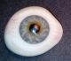(5) Antique Pre - Wwii German Medical Human Prosthetic Glass Eyes Blue. Optical photo 4