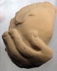 Greek Fragment Of A Hand Holding A Pig,  From A Votive Figure Greek photo 1