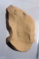 Greek Fragment Of A Hand Holding A Pig,  From A Votive Figure Greek photo 2