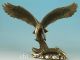 Delicate Chinese Old Brass Handmade Carved Eagle Collect Statue Figure Home Dec Other Antique Chinese Statues photo 6