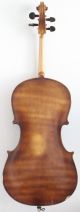 Very Old Cello Labeled Testore 1740 Violoncello Viola 大提琴 チェロ 첼로 Violoncelle String photo 7