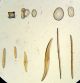 J.  A.  Long For Watson,  Group Diatom Microscope Slide: 39 Forms Other Antique Science Equip photo 2