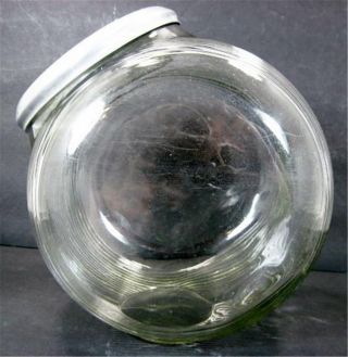Ribbed Hoosier Glass Store Counter Display Jar Sugar Cookie Candy W/scoop photo