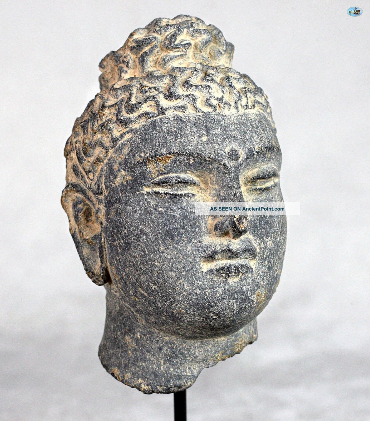 Rare Ancient Gandhara Buddha Schist Bust On Stand 2nd - 3rd Century Ad Other Asian Antiques photo