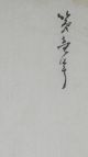 Sakura Cherry Blossom : Signed Japanese Painting / Drawing / Woodcut Hanshita - E Paintings & Scrolls photo 1