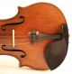 Italian Solo Violin G.  Pedrazzini 1924 Geige Violon Violino Violine 小提琴 バイオリン String photo 3