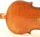 Italian Solo Violin G.  Pedrazzini 1924 Geige Violon Violino Violine 小提琴 バイオリン String photo 7
