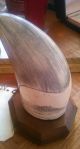 Scrimshaw Whale Tooth On Teak Wood By Cook Co.  Sculpture Scrimshaws photo 1