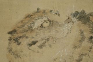 Hanging Scroll Japanese Painting Tiger Japan Asian Old Ink Bamboo A561 photo