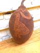 Australian Aboriginal Decorated Boab Nut 3 Pacific Islands & Oceania photo 3