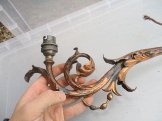 Antique Copper Converted Gas Wall Light Sconce French Gilt Leaf Vintage Rococo photo