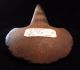 Pre - Columbian Hopewell Native Massive Carved Stone Spud Mound Builder The Americas photo 2