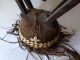 Vintage Carved Wood Chiwara Antelope Headdress Bambara Banama Mali Africa 44 