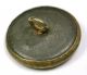 Antique Brass Button Fox Head Poking Out Of Hedge - 7/8 