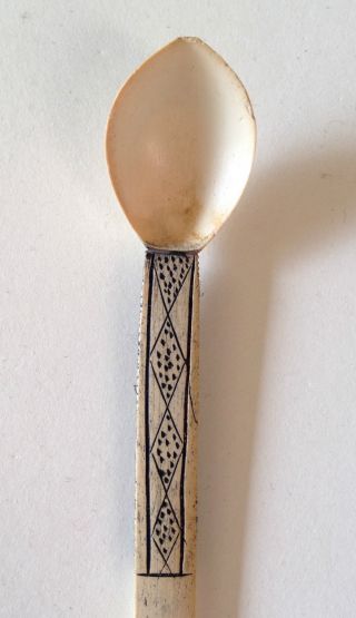 Old Antique South African Zulu Carved Snuff Spoon Hair Pin photo