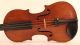 Antique Old Italian Violin Testore 1741 Geige Violon Violino Violine 小提琴 バイオリン String photo 2