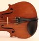 Antique Old Italian Violin Testore 1741 Geige Violon Violino Violine 小提琴 バイオリン String photo 3