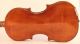 Antique Old Italian Violin Testore 1741 Geige Violon Violino Violine 小提琴 バイオリン String photo 5