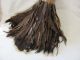 Antique Turkey Feather Duster Hi - Cuff No.  200 - X Ex - Carriage 1908 Red Wood Handle Other Antique Home & Hearth photo 1